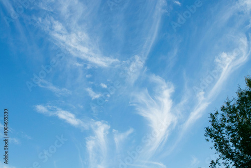 Fotografía hermoso cielo azul con nubes