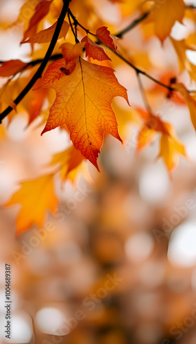 A close-up of vibrant autumn leaves, capturing the essence of fall with rich colors and intricate details.