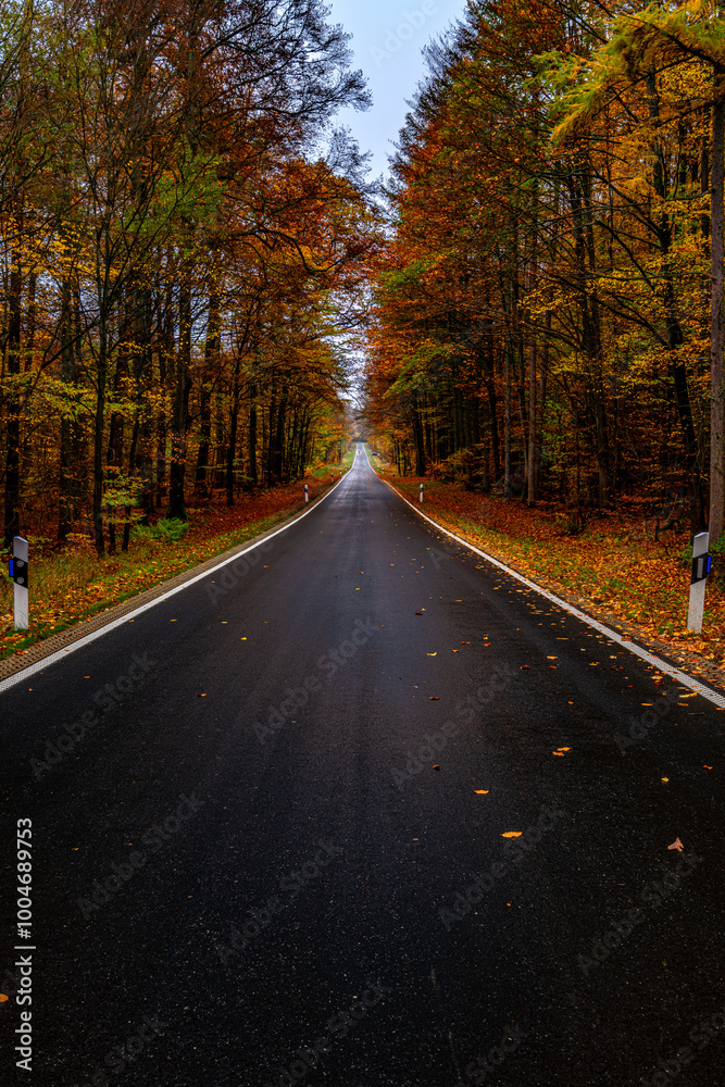 Fototapeta premium Strasse im Herbst