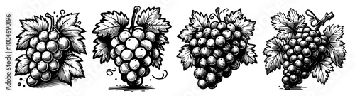 artistic sketch of grape clusters with intricate hand-drawn style black vector