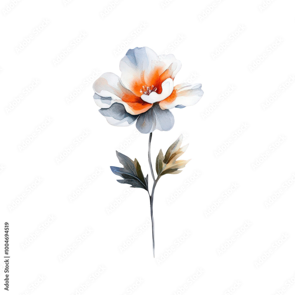 Naklejka premium Watercolour of a single flower bloom with a transparent background.
