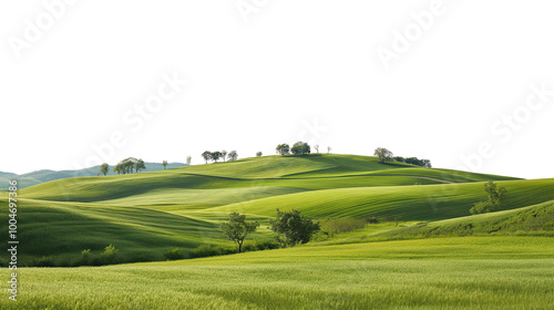 Tranquil countryside landscape with rolling hills and farm fields isolated on transparent and white background, cut out png