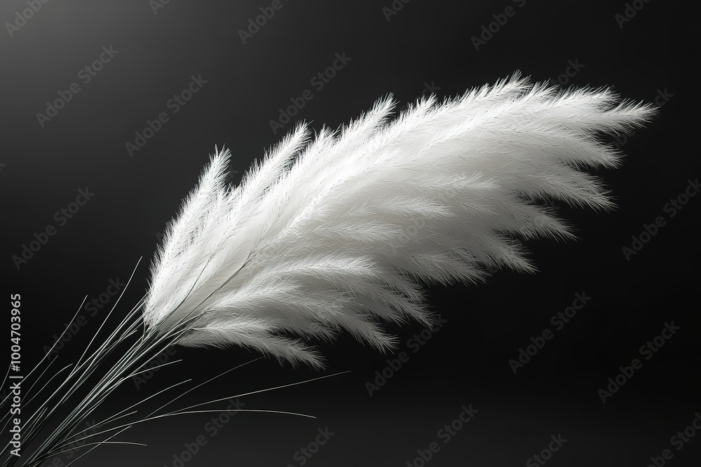 Obraz premium A single white flower with a black background