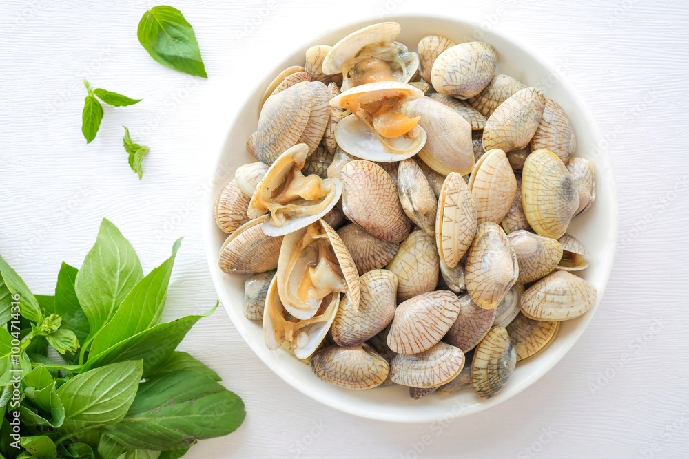 Fresh clams in white ceramic on white background Fresh clams in white ceramic on white background