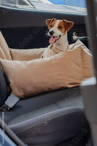 A happy dog relaxing in a car seat with cushions on a sunny day