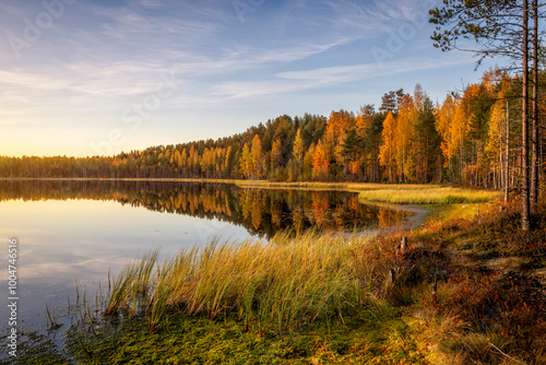 Obraz na płótnie Lake in the autumn Karelian forest. Beautiful panoramic landscape with a pond and trees. w salonie