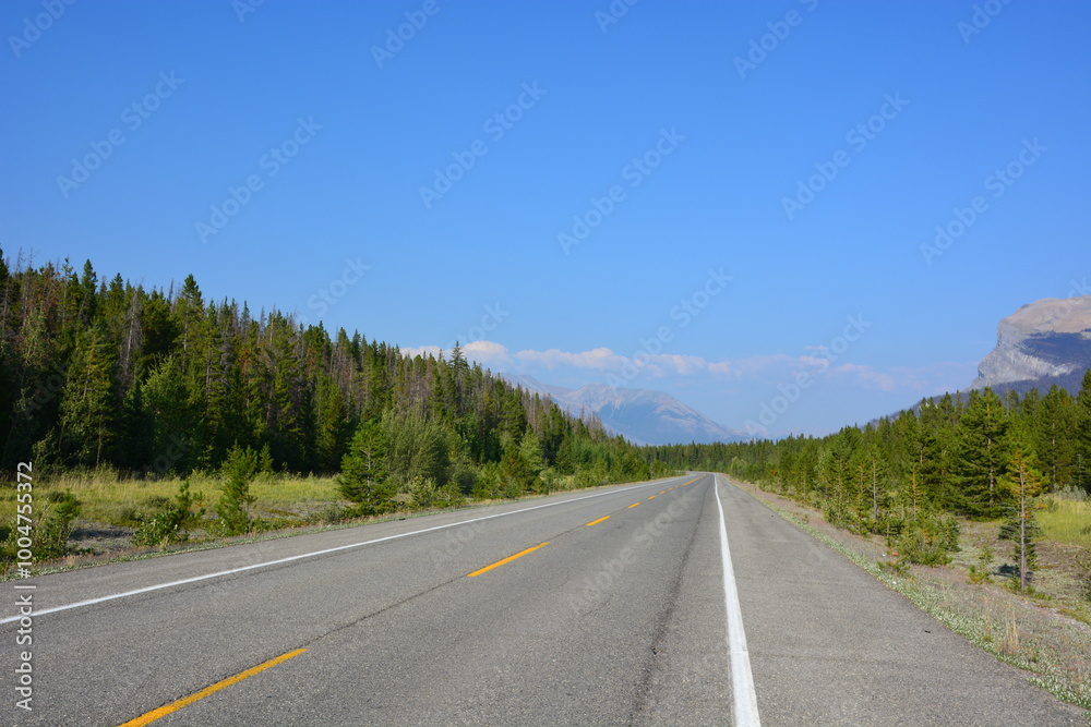 roadway roadway