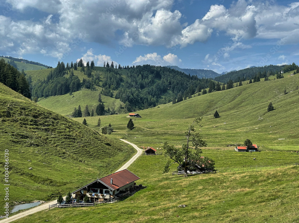 Obraz premium Blick auf Almhütten im Arzmoos, Sudelfeld, Alpen, Bayern, Deutschland