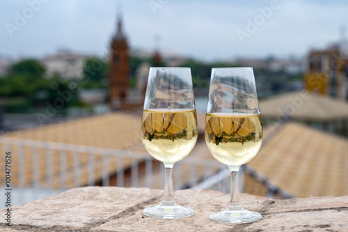 Sherry fino wine tasting on roof of old Triana district in Sevilla with view on Sevilla houses and churches, wine glasses photo