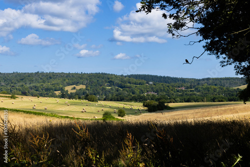 View of Surrey Hills farmland and woodland looking towards Gomshall and Shere villages, near Guildford photo