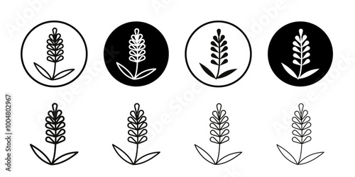 Lavender icon Collection of flat thin outline vector