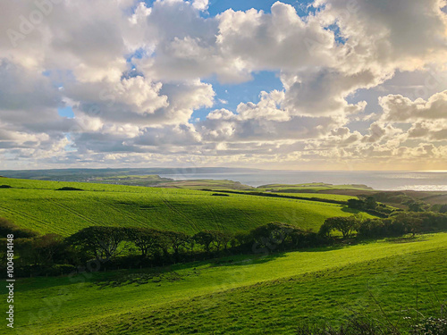 green fields overlooking sea in the horizon with fluffy clouds at a beautiful sunset