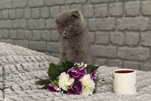 chaton gris sur un bouquet de fleur photo