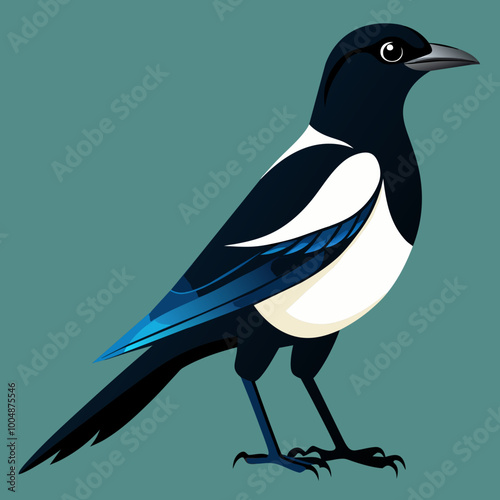 High-Quality Black-billed Magpie Vector Illustration Perfect for Your Projects photo