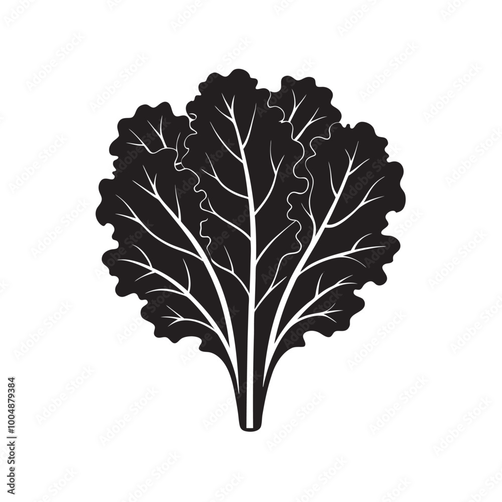 Kale Silhouette Vector Illustration | Organic Leafy Green Vegetable Clipart Kale Silhouette Vector Illustration | Organic Leafy Green Vegetable Clipart