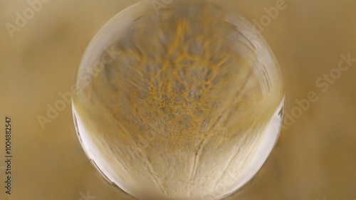 Close-up of a glass ball that reflects a yellow structure
