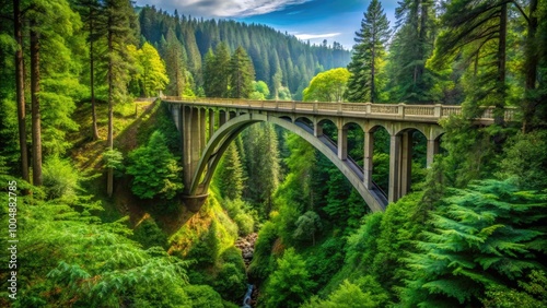 Scenic Side View of Thomas Creek Bridge Surrounded by Lush Green Forest in Beautiful Oregon