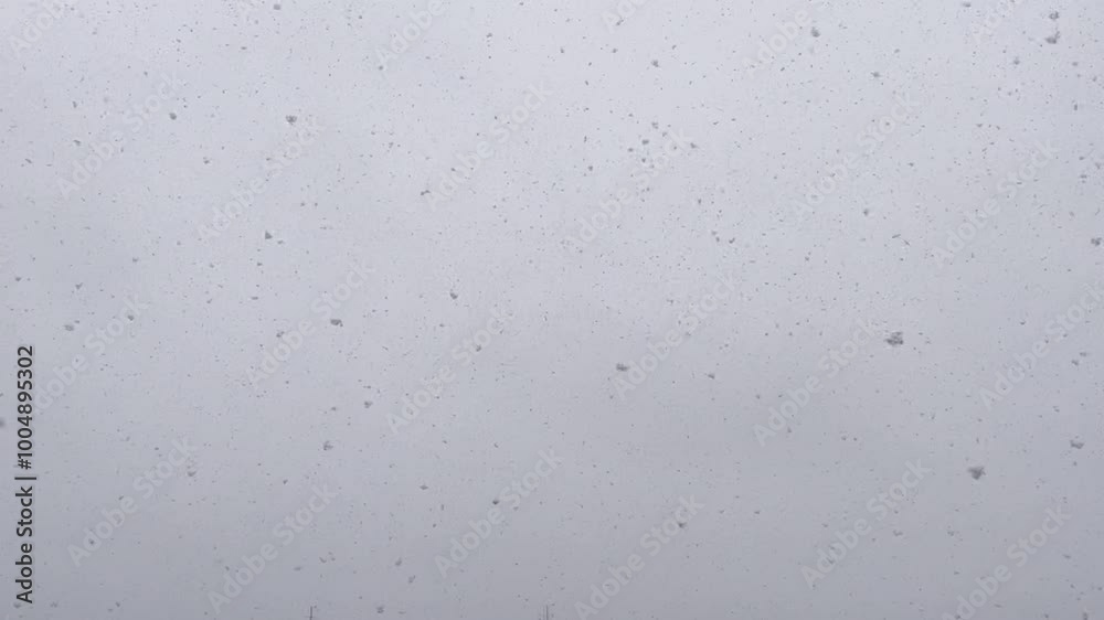 CIELO CUBIERTO. LOS COPOS DE NIEVE ESTÁN CAYENDO.