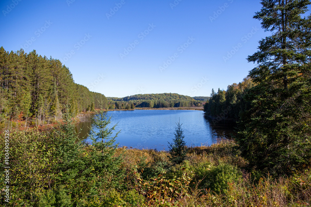 Blue lake surrounded by trees and a forest. Blue lake surrounded by trees and a forest.