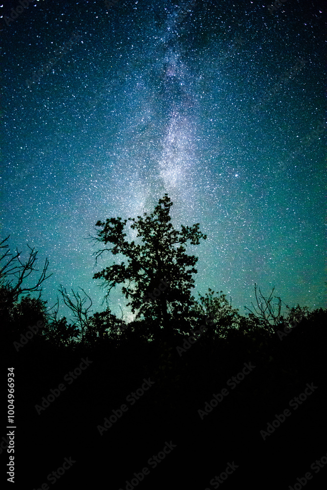 Space with galaxy . Milky way on the blue sky .Dark and cold night at summer . Trees on the backgound with stars . Power lines in the night , powerstation and galaxy Space with galaxy . Milky way on the blue sky .Dark and cold night at summer . Trees on the backgound with stars . Power lines in the night , powerstation and galaxy