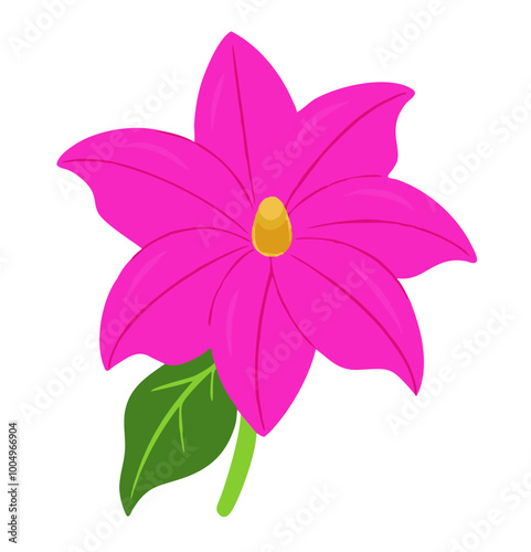 Pink Lilyflower. stock illustration photo