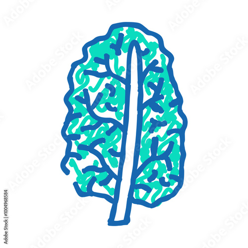 kale cabbage doodle icon sketch vector. kale cabbage sign. isolated symbol illustration