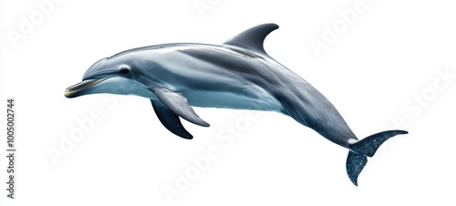 A sleek dolphin leaping gracefully through against a white background