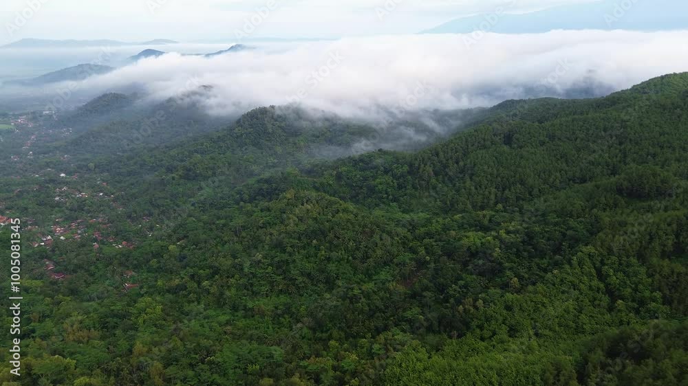 Drone view of hills in the mountains with lush forests and trees with morning mist moving closer above Drone view of hills in the mountains with lush forests and trees with morning mist moving closer above