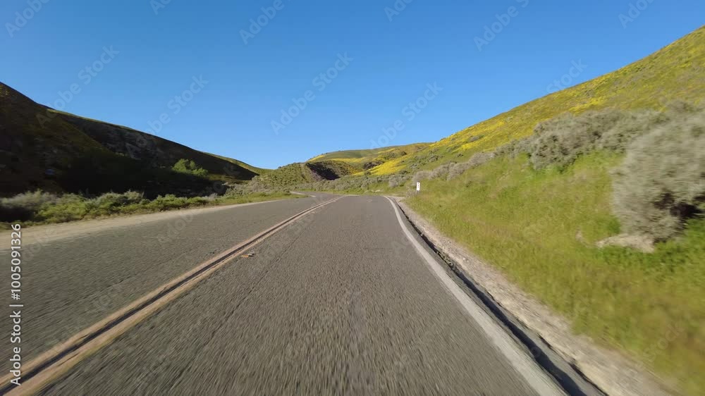 Carrizo Plain Super Bloom Highway 58 East 01 Front View Driving Plates of Wild Flowers at Sunset California USA Carrizo Plain Super Bloom Highway 58 East 01 Front View Driving Plates of Wild Flowers at Sunset California USA