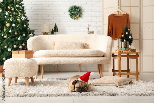 Cute dog with Santa hat lyi...