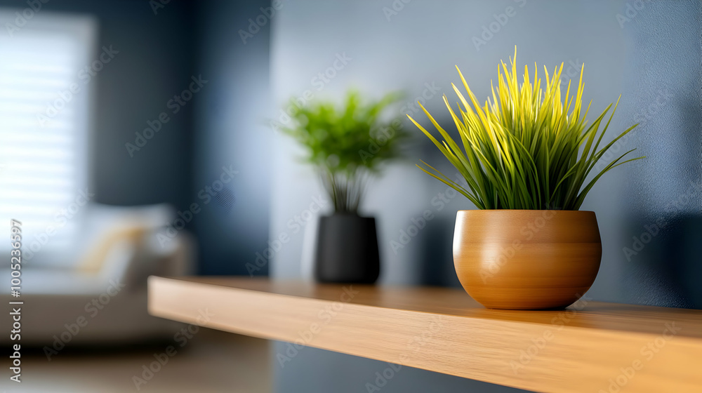 Decorative potted plants on a wooden shelf against a stylish dark wall in a modern living space. Decorative potted plants on a wooden shelf against a stylish dark wall in a modern living space.