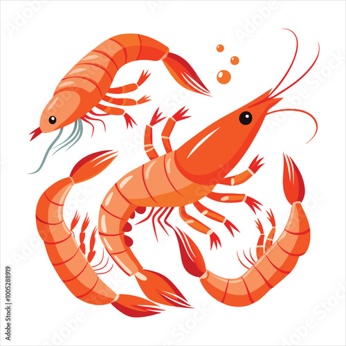 Colorful shrimp vector illustration