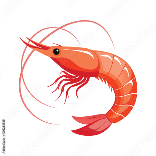 Colorful shrimp vector illustration