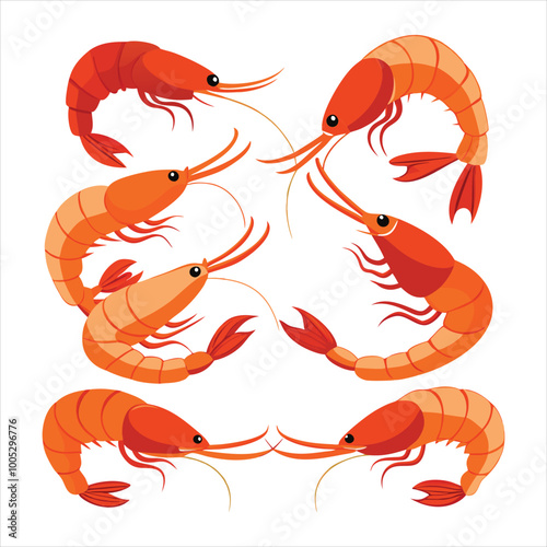Colorful shrimp vector illustration