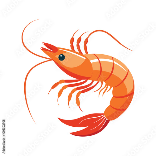 Colorful shrimp vector illustration