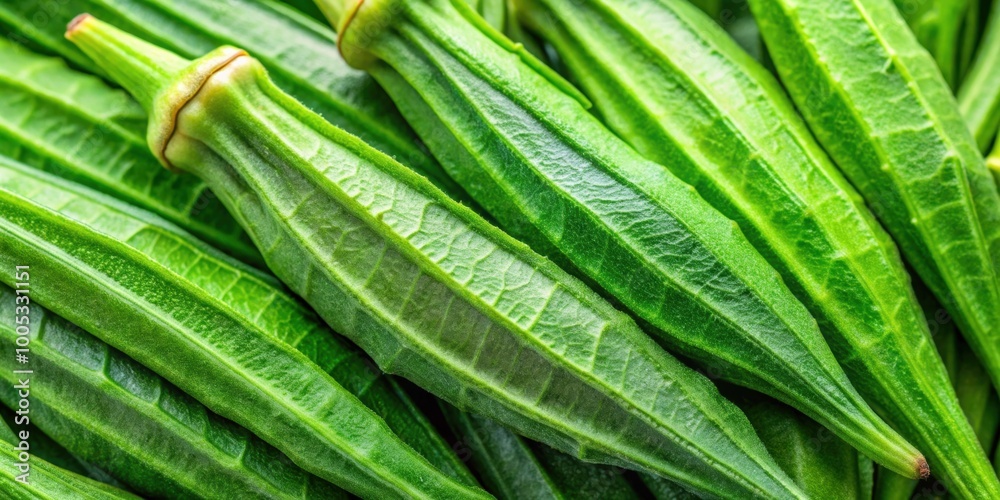 Close-up of vibrant green okra leaves with intricate veins, showcasing a beautiful texture Close-up of vibrant green okra leaves with intricate veins, showcasing a beautiful texture