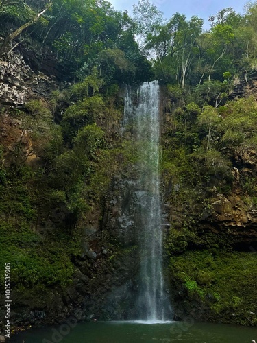 Waterfall in Kauai Surrounded by Rainforest