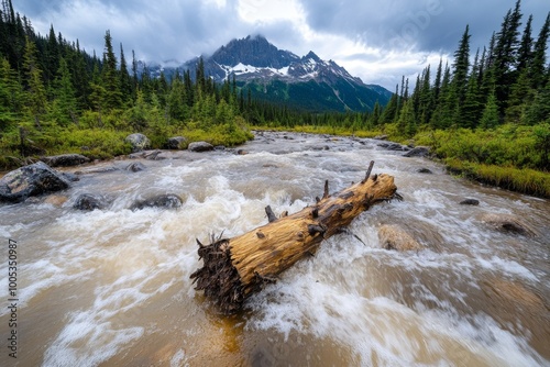 A flash flood flowing through a mountain valley, with fast-moving water carrying trees and rocks, the force of nature evident in the scene photo