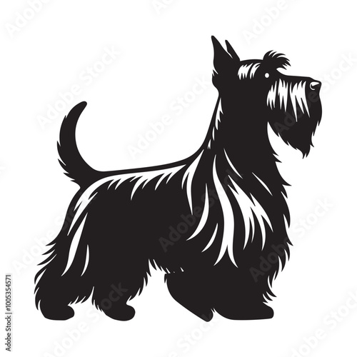 Scottish Terrier Dog  Standing Vector illustration black and white
