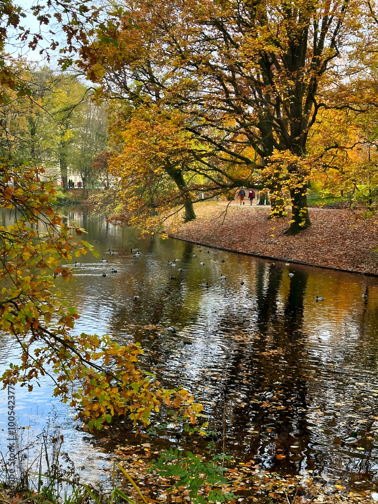 autumn trees reflected in water autumn trees reflected in water