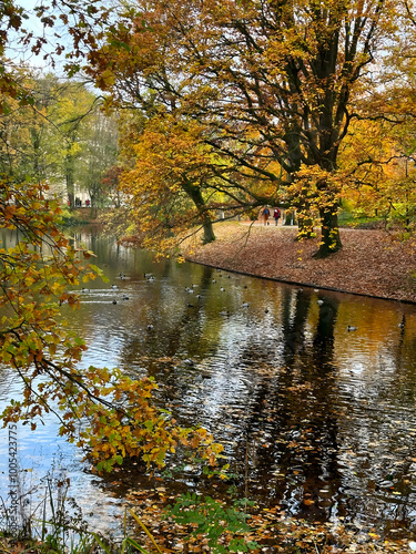 autumn trees reflected in water