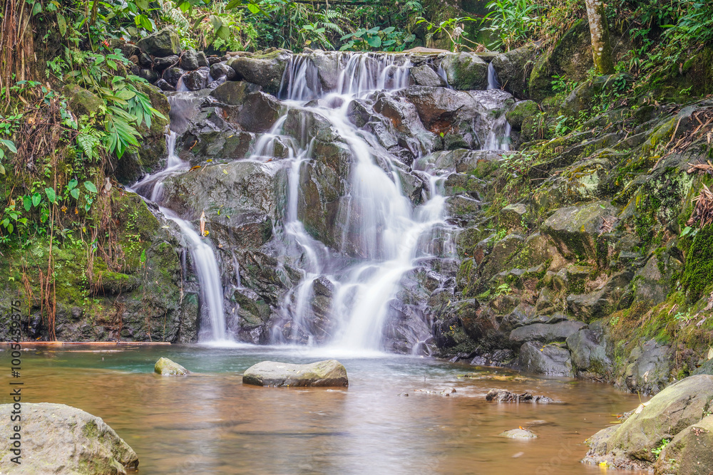 Naklejka premium beautiful waterfall in the forest of Bogor, West Java.
