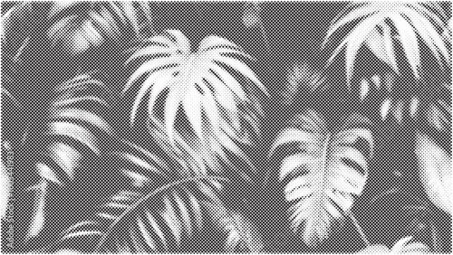Abstract halftone dotted pattern for background