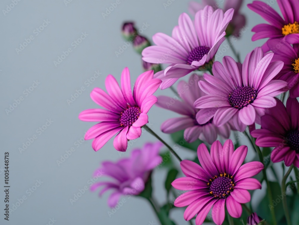 Purple flower arrangement on a table Purple flower arrangement on a table