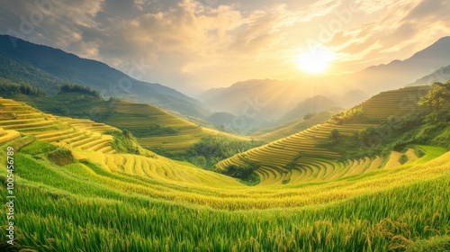 Golden terraced rice fields stretching across the mountains of Mu Cang Chai at sunrise showcasing the beauty of traditional Vietnamese agriculture