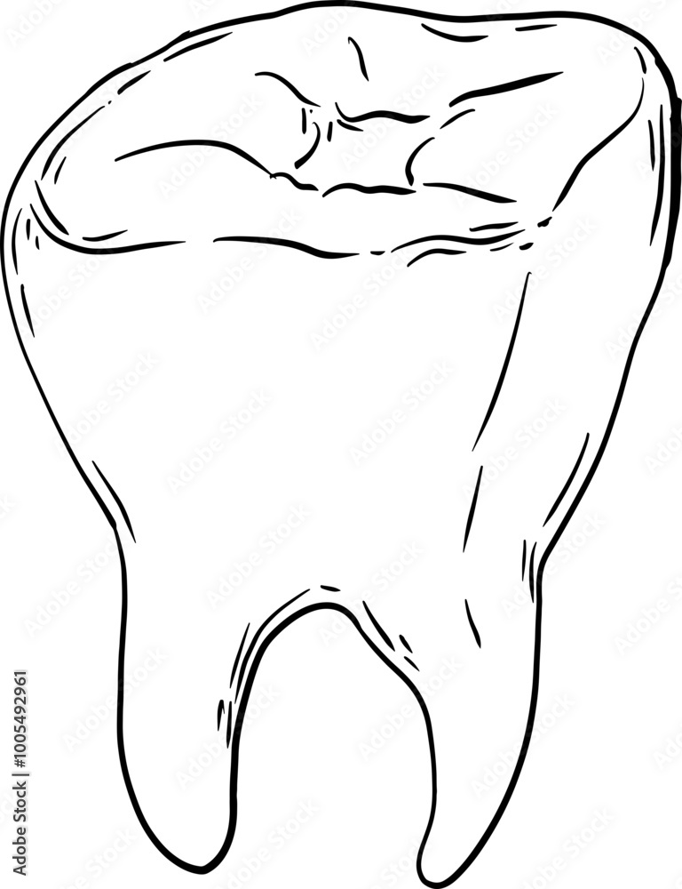 sketch teeth sketch teeth