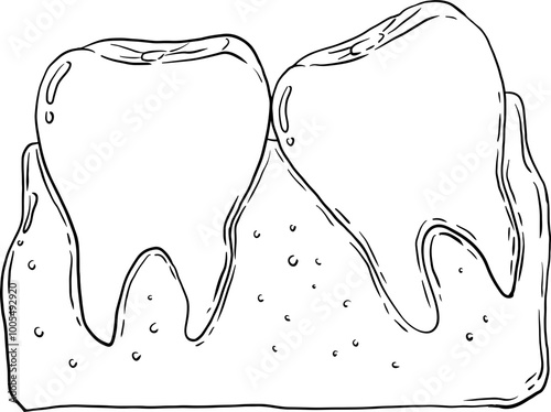 sketch wisdom teeth