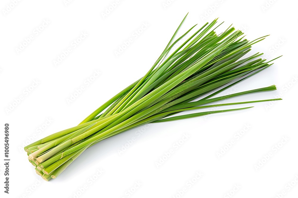 Green Lemongrass isolated on white background Green Lemongrass isolated on white background