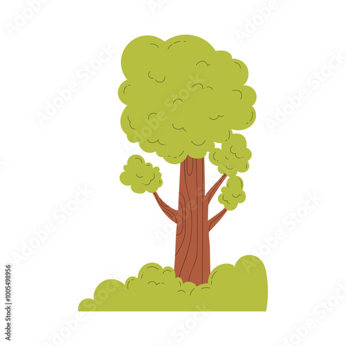 Tree with green leaves vector flat illustration, cartoon oak or linden forest plant, nature design element, garden flora