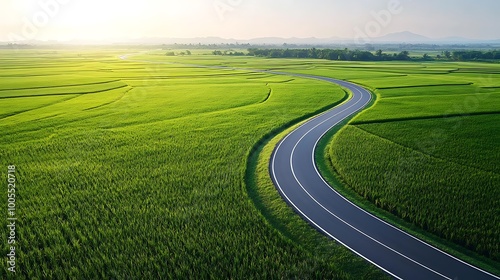 Winding Road Through Lush Green Rice Fields